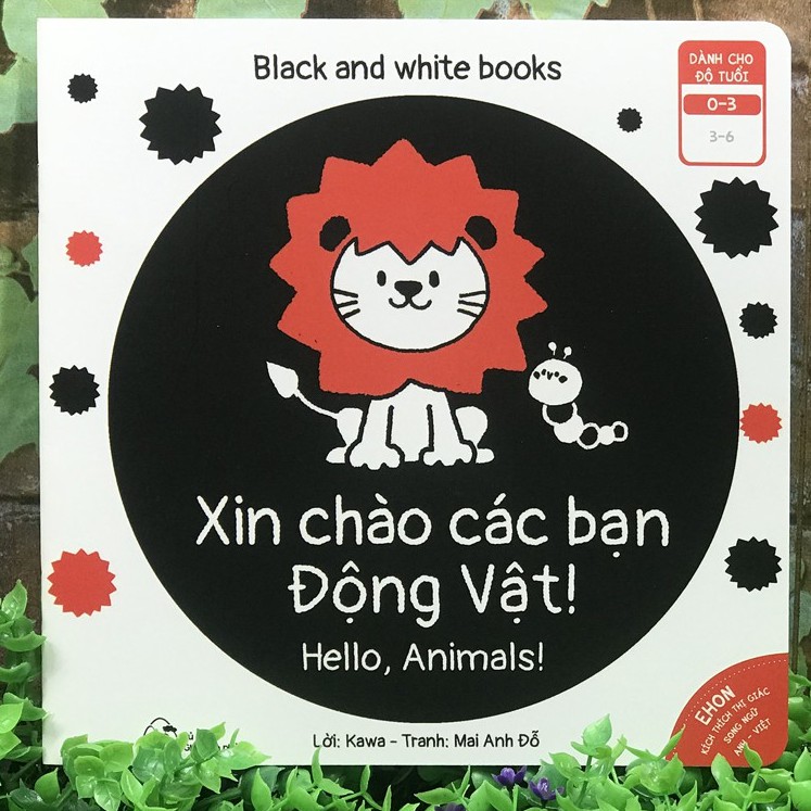 Combo 6 cuốn sách Ehon Song Ngữ Kích Thích Thị Giác Cho Bé 0-3 tuổi Black and White books 
